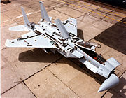 全てのパネルを開放した状態（F-15A）