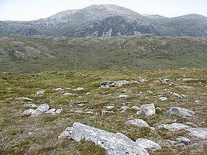 Meall nan Doireachan