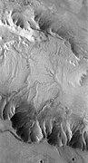 Branching channels on floor of Melas Chasma. Image taken with THEMIS.