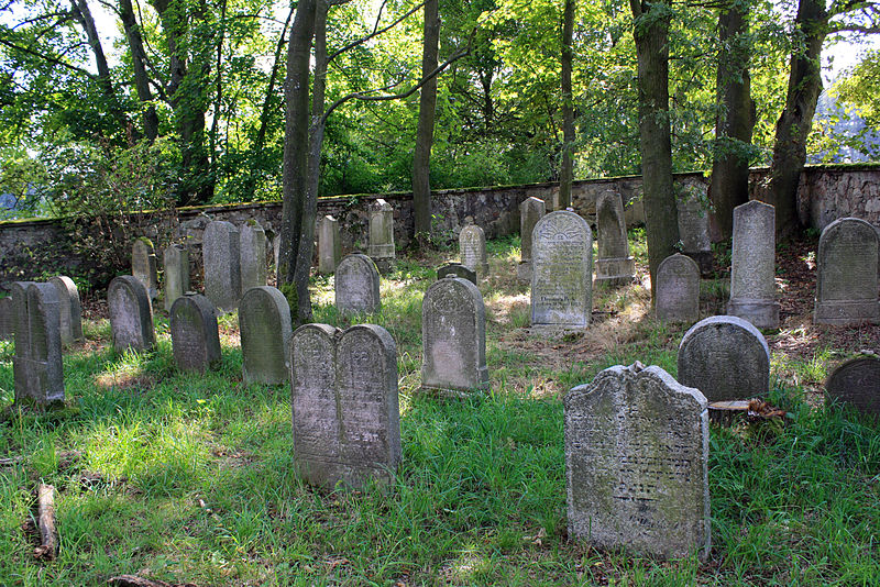 File:Milíkov, Malá Šitboř, Jewish cemetery 7.jpg