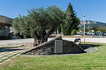 Monument aux morts érigé en hommage aux soldats morts durant la Première Guerre mondiale.