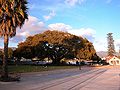 Santa Barbara, Southern California.