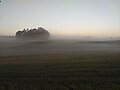 Morning mist ^1 - Flickr - Stiller Beobachter.jpg