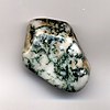 A smooth pebble of white agate with black and green dendrite formations.