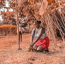 In South Sudan, a mother harvests the root crop cassava while her daughter collects firewood. Mother harvests cassava while daughter collects firewood.jpg
