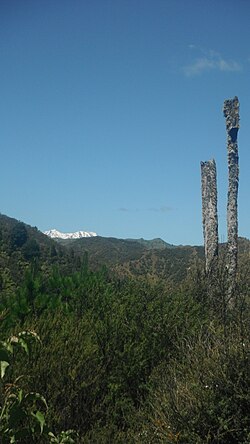 Mount Ruapehu in the Ruapehu District along Ruatiti Road.JPG