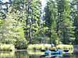 Kayaking on the Mullica River, pine trees in background