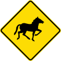 Watch for animals (wild horses)