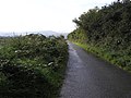 Narrow road, Inch Island - geograph.org.uk - 967476.jpg