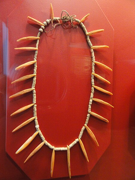 File:Necklace, shark vertebrae, shell, and glass beads, Wuwulu, 1909 - Staatlichen Museums für Völkerkunde München - DSC08289.JPG