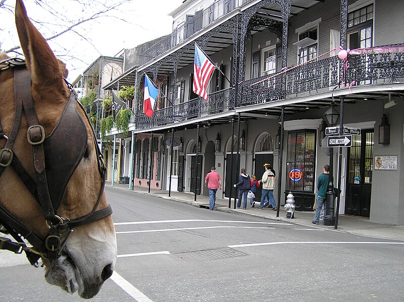 File:New Orleans Mule Head Royal St Phillip French Quarter.jpg