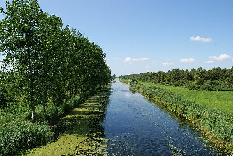 File:Noteć - panoramio.jpg