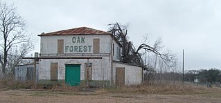 Oak Forest, Texas human settlement in United States of America