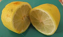 Cross-section of Odichukuthi lime