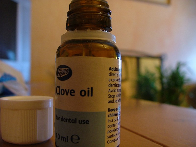 File:Oil of cloves.jpg