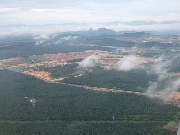 Oil palm plantations in Sarawak.jpg