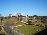 大島小松川公園（2009年1月）