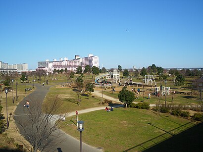 大島小松川公園への交通機関を使った移動方法