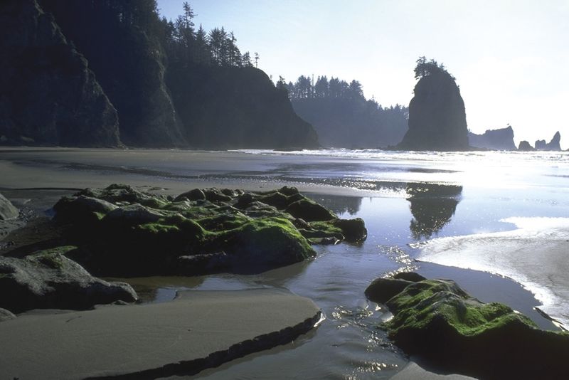 File:Olympic National Park coast.jpg