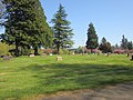 Mountain View Cemetery