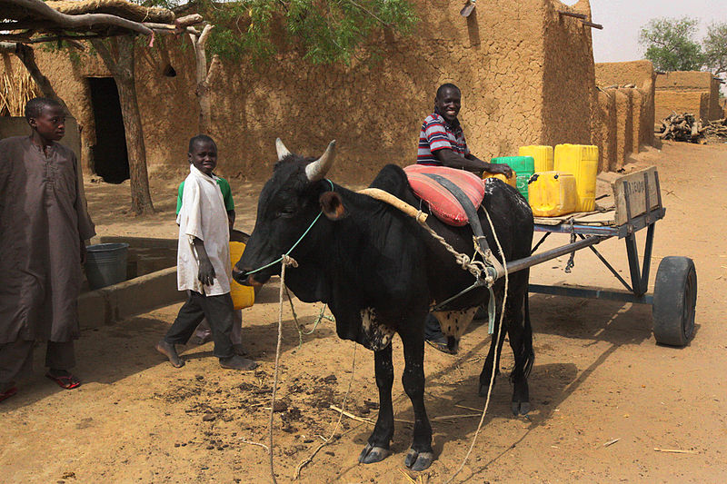 File:Ox cart Niger.jpg