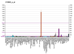 PBB GE MUC1 213693 s в формате fs.png