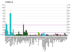 PBB GE STX7 212632 at fs.png 