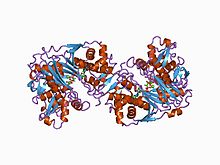 PDB 1bwf EBI.jpg