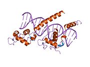 PDB 1kb6 EBI.jpg