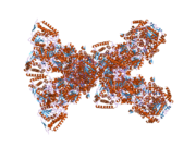 PDB 3exg EBI.png