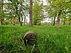 Padiham township boundary stone Burnley Rd.jpg