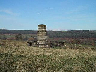 <span class="mw-page-title-main">Leeds Pals</span>