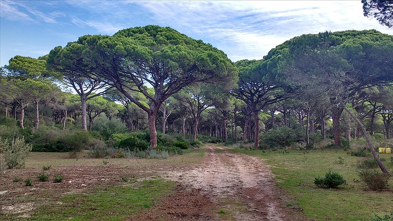 File:Parque Natural de La Breña 32.jpg