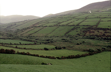 Polski: Pastwiska - typowy krajobraz zachodniej Irlandii English: Pastures, Ireland