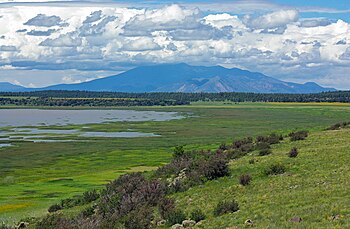 Summer monsoon clouds over the San Francisco Peaks, viewed from Mormon Lake Peaks and monsoon clouds from Mormon Lake.jpg