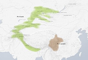 Description de l'image Phylloscopus-humei distribution.jpg.