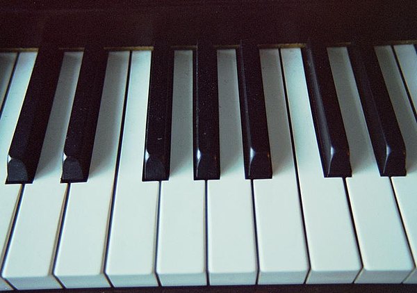 600px Piano Keyboard 