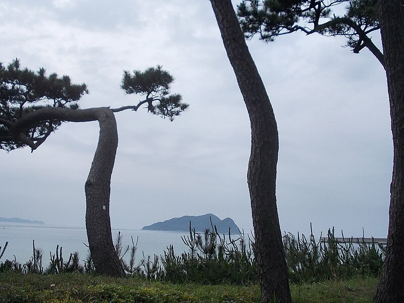 File:Pine trees and Jinoshima Island 2.jpg