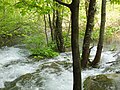 Plitvice Lakes National Park 十六湖國家公園 - panoramio (2).jpg
