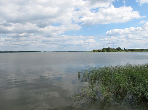 Siemianówka reservoir near Bondary village, gmina Michałowo, podlaskie,Poland