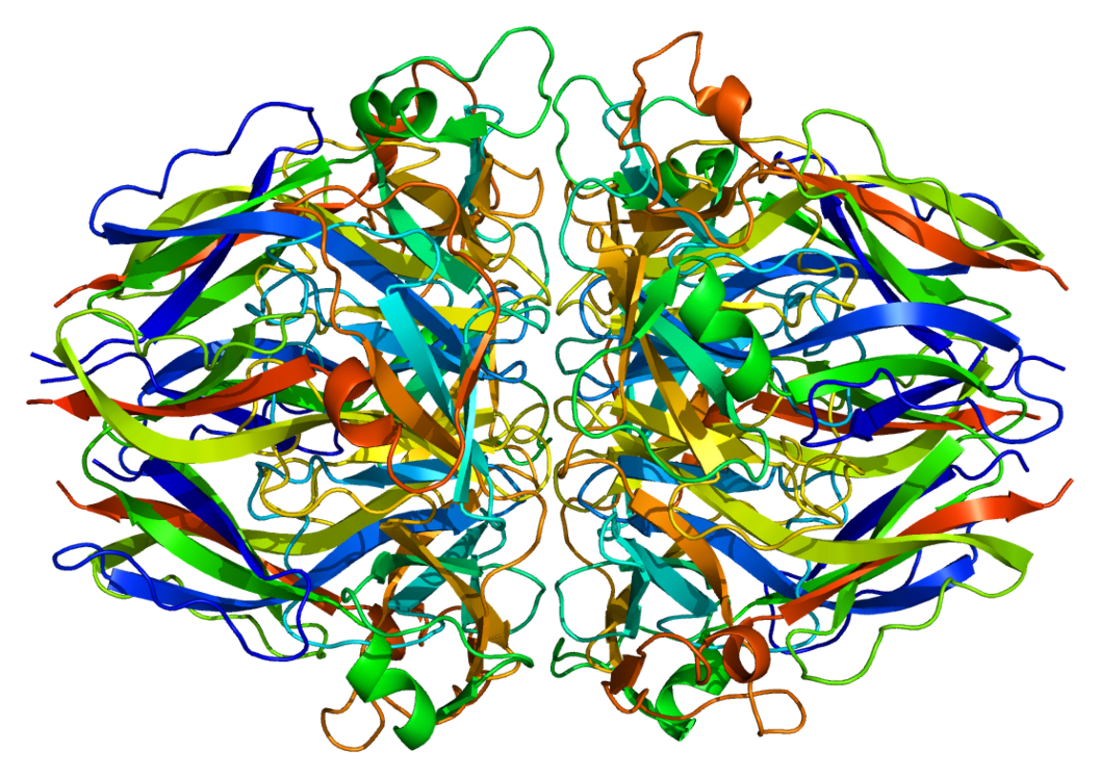 Collagen, type IV, alpha 2