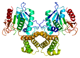 Illustrativt billede af artiklen Fedtsyresyntase