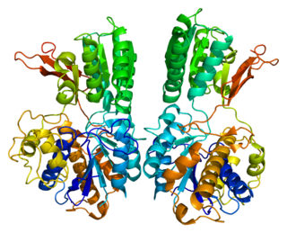 Metabotropic glutamate receptor 1