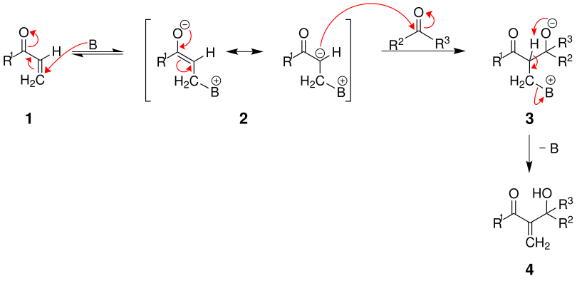 Meccanismo della reazione di Baylis-Hillman
