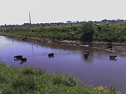 Upper Reconquista River. Reconquista River 02.jpg