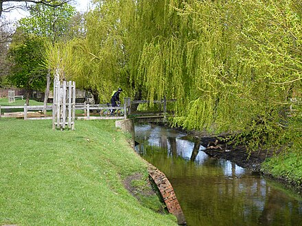 Beverley Brook in Richmond Park