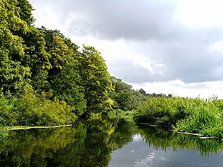 <span class="mw-page-title-main">Bath Hills</span> Nature reserve in United Kingdom