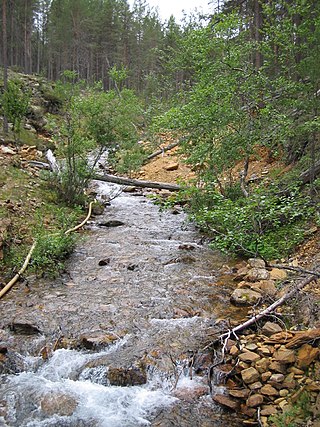 <span class="mw-page-title-main">Lemmenjoki (river)</span> River in Finland