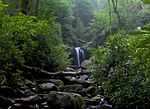 Thumbnail for Roaring Fork (Great Smoky Mountains)