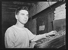 Robert E. Haines, twenty, has been helping his father out in his pretzel factory